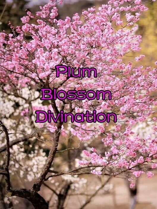 Обложка Plum Blossom Divination