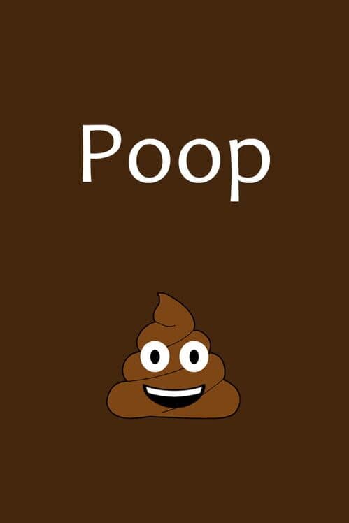 Обложка Poop