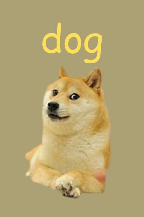 Обложка Dog