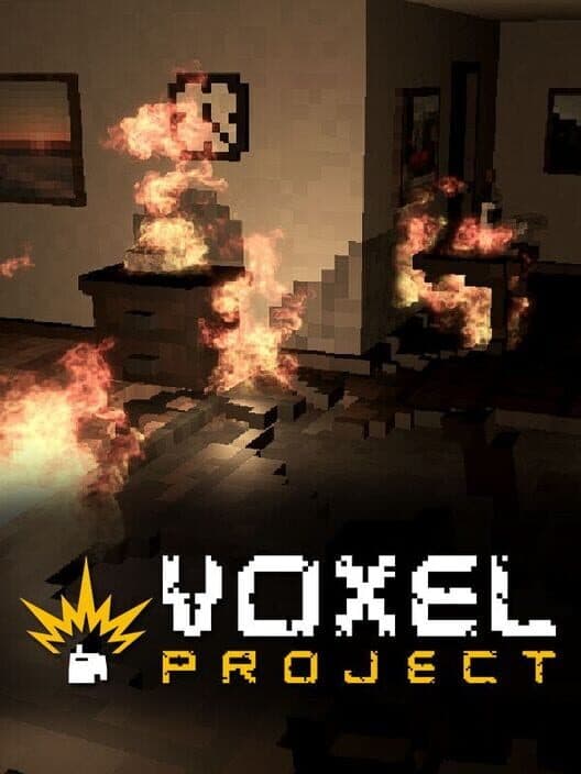 Обложка Voxel Project