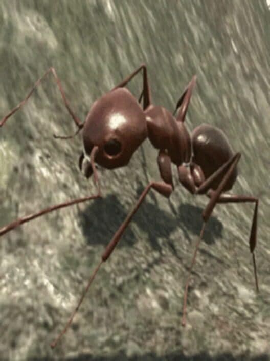 Обложка Ant Simulator 3D