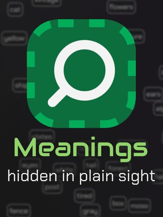 Обложка Meanings: Hidden in Plain Sight