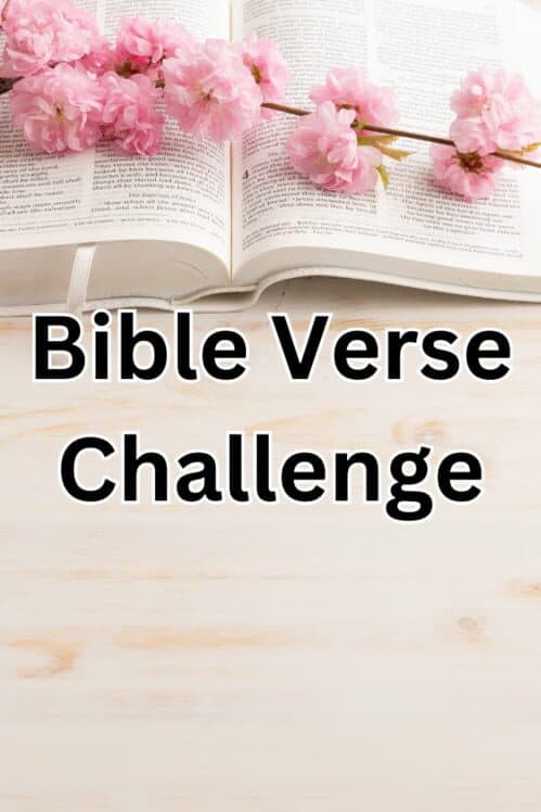 Обложка Bible Verse Challenge