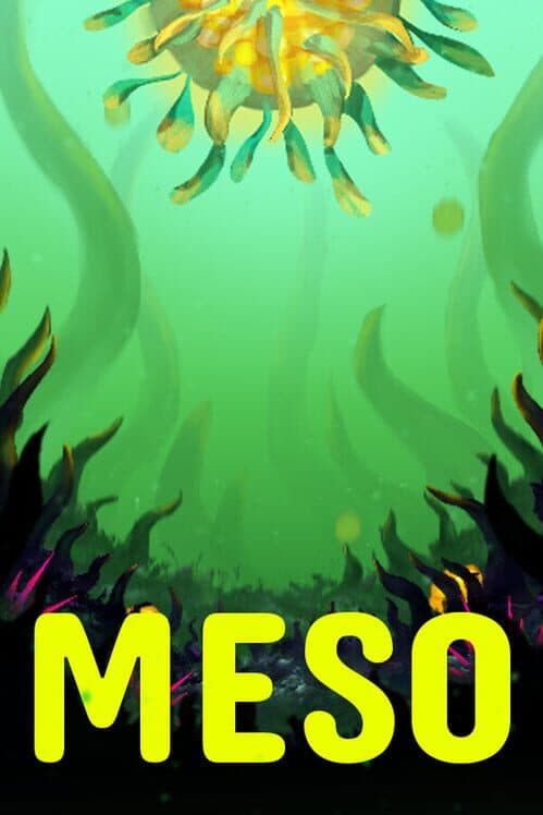 Обложка Meso