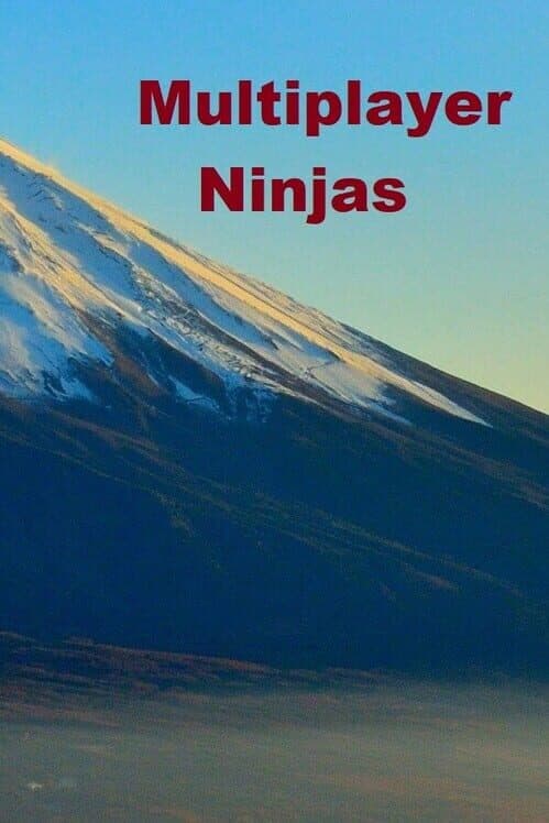 Обложка Multiplayer Ninjas