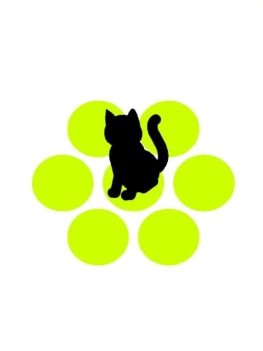 Обложка Chat Noir