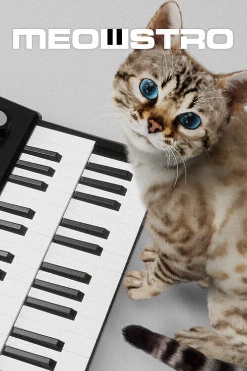 Обложка Meowstro