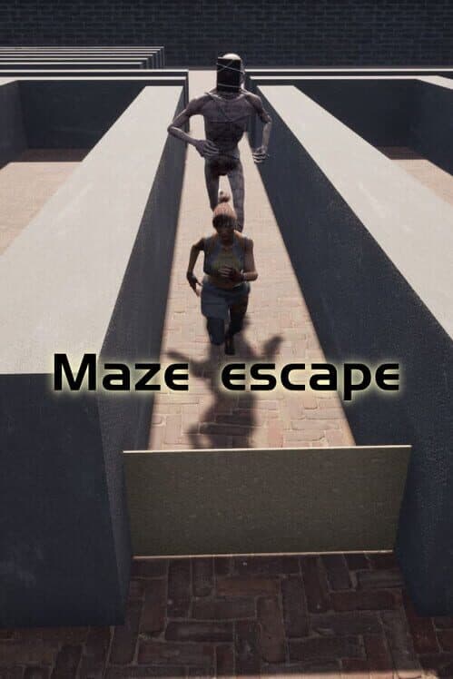 Обложка Maze Escape