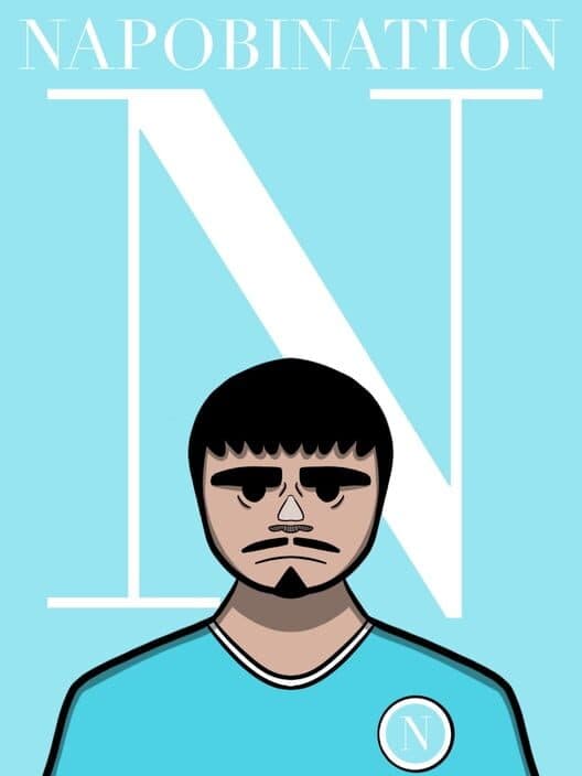 Обложка Napobination