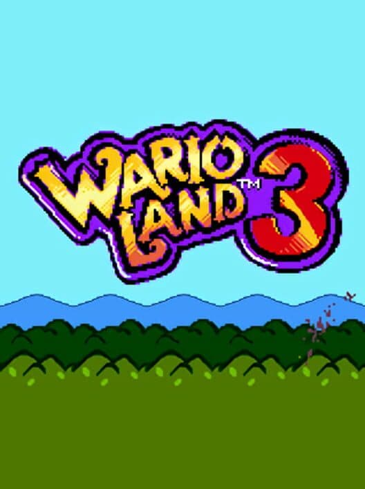 Обложка Wario Land 3: The Master Quest