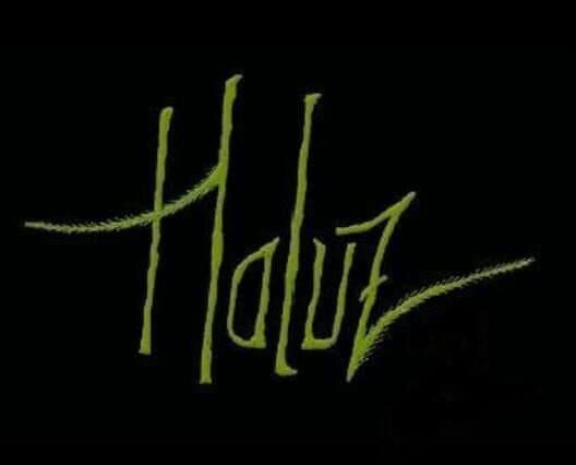 Обложка Haluz