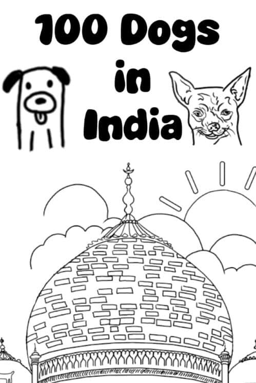 Обложка 100 Dogs in India