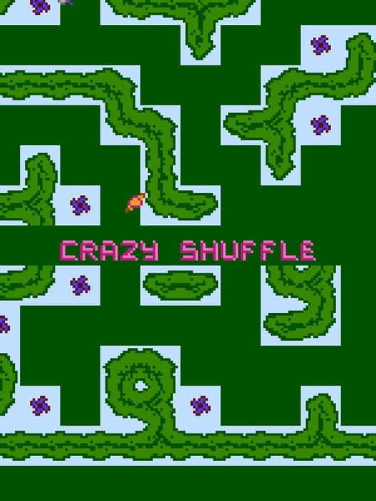 Обложка Crazy Shuffle