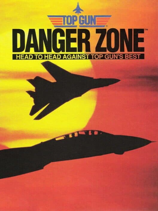 Обложка Top Gun: Danger Zone