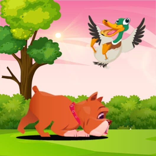 Обложка Duck Hunt Pro