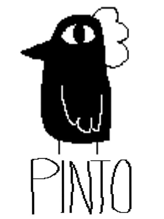 Обложка Pinto