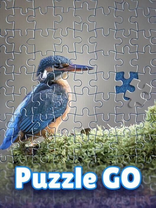Обложка Puzzle Go