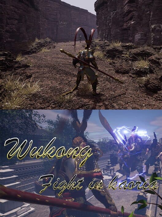 Обложка Wukong Fight in Kaoria