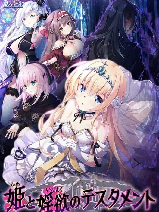 Обложка Hime to Inyoku no Testament