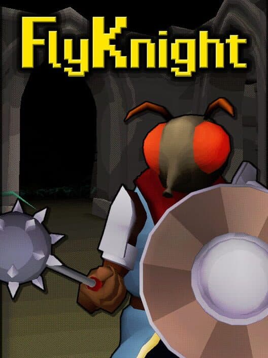 Обложка FlyKnight
