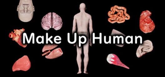 Обложка Make Up Human