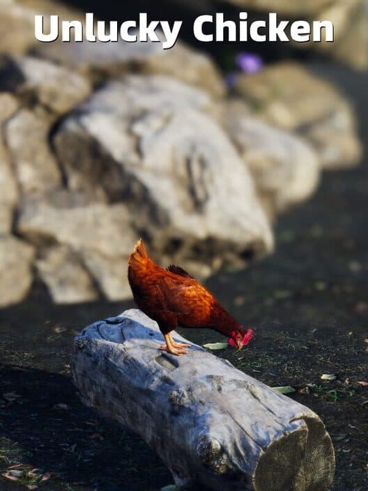 Обложка Unlucky Chicken