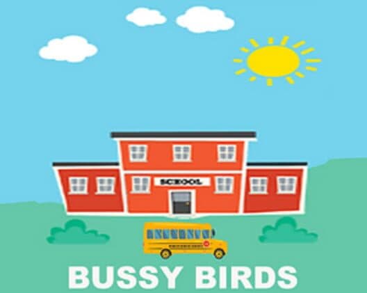 Обложка Bussy Birds