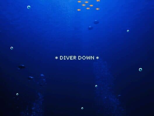 Обложка Diver Down