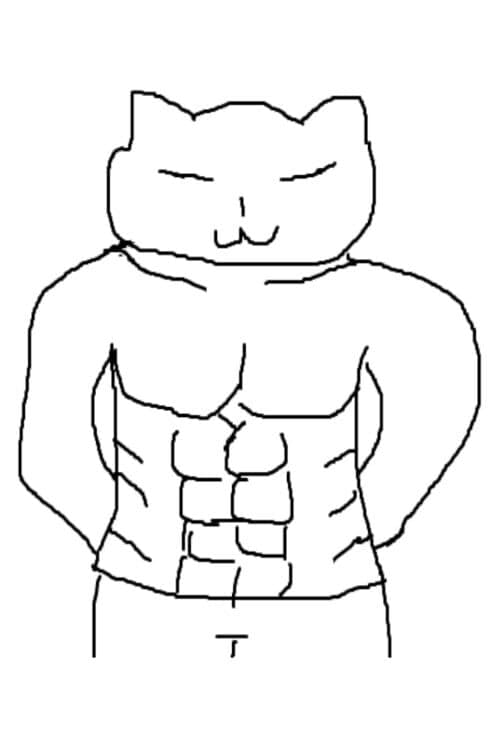 Обложка CatCatMan