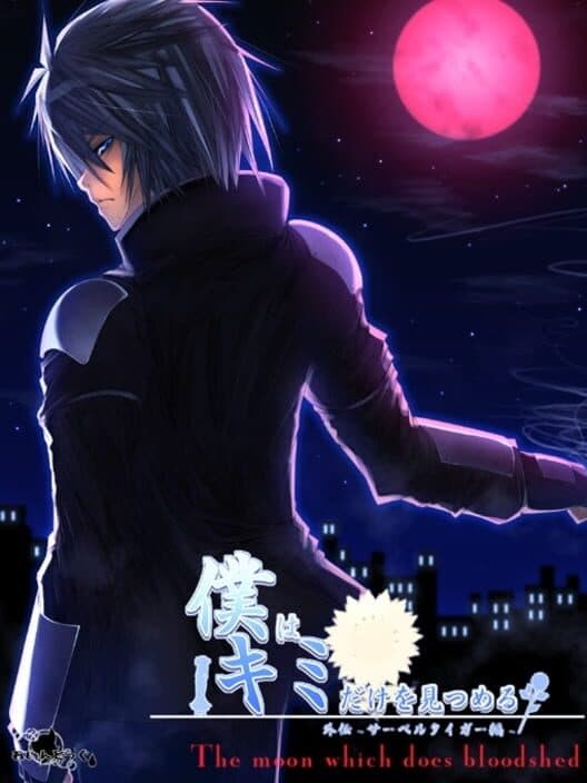 Обложка Boku wa Kimi dake o Mitsumeru Gaiden: Saber Tiger Hen