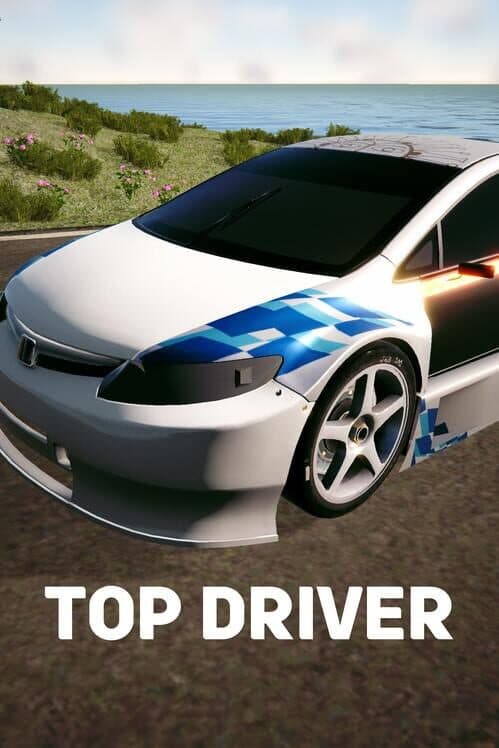Обложка Top Driver