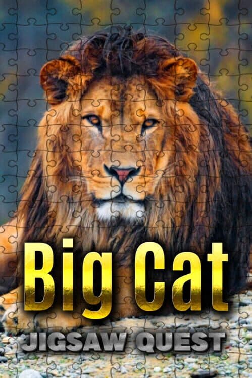 Обложка Big Cat Jigsaw Quest