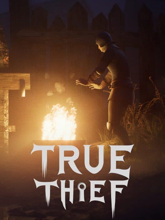 Обложка True Thief