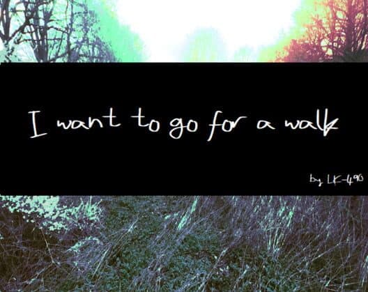 Обложка I Want to Go for a Walk