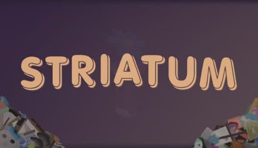 Обложка Striatum