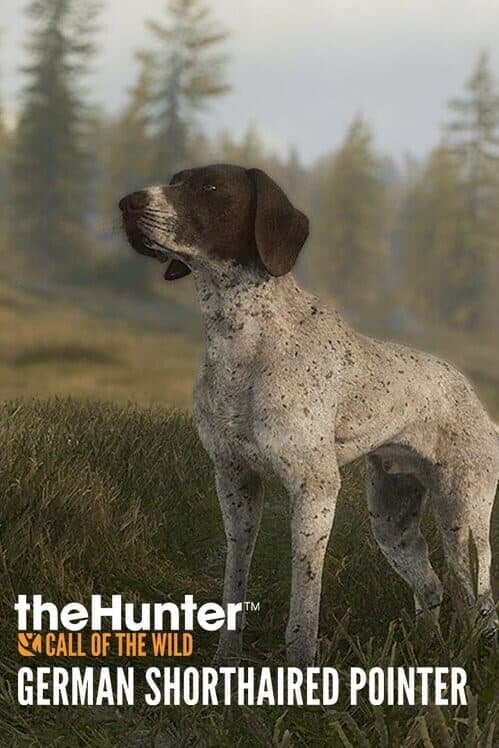 Обложка TheHunter: Call of the Wild - German Shorthaired Pointer