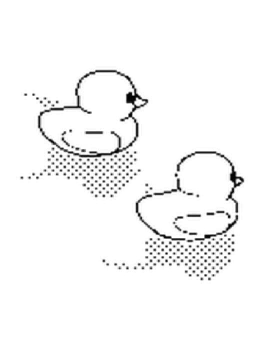 Обложка Duck Game