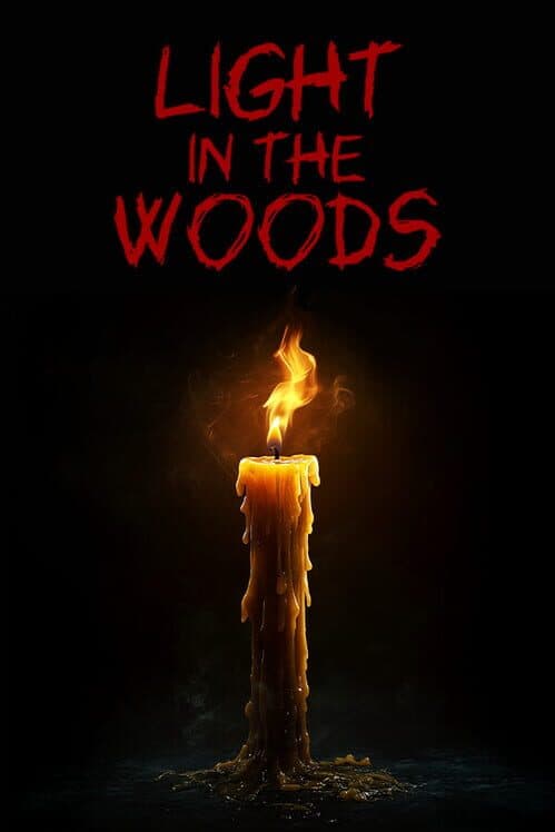 Обложка Light in the Woods