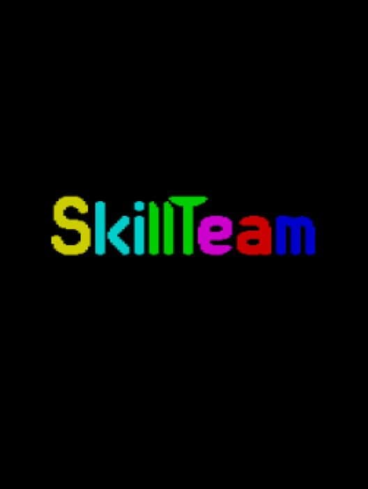 Обложка SkillTeam