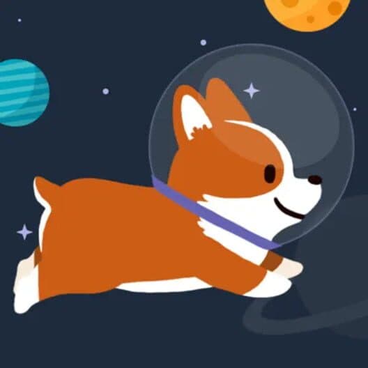 Обложка Space Corgi