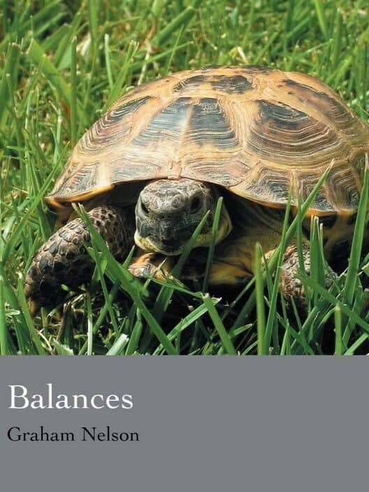 Обложка Balances
