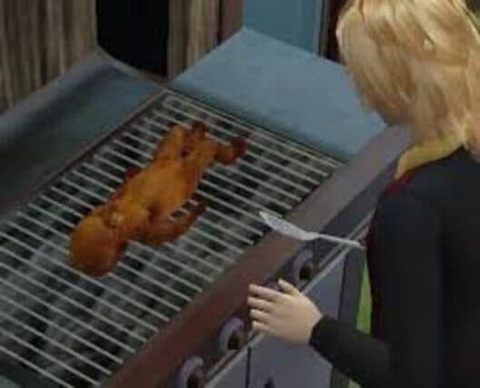 Обложка The Sims 2: OMGWTFBBQ