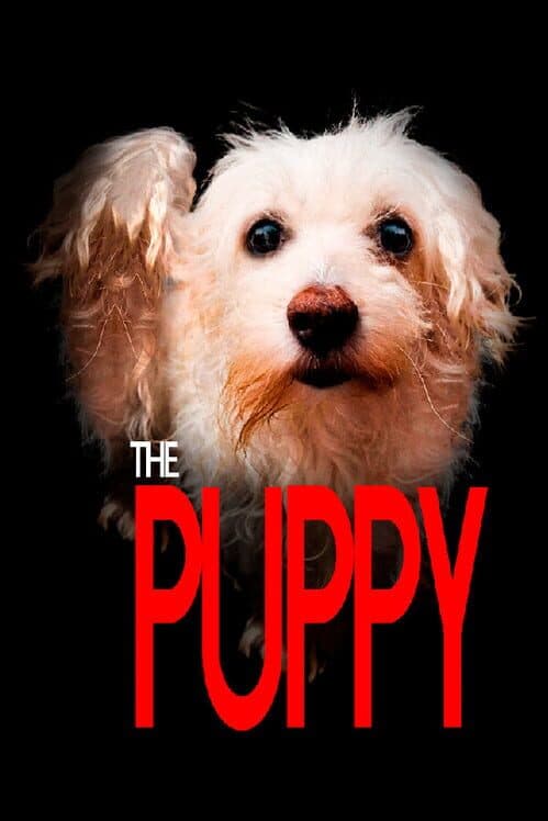 Обложка The Puppy