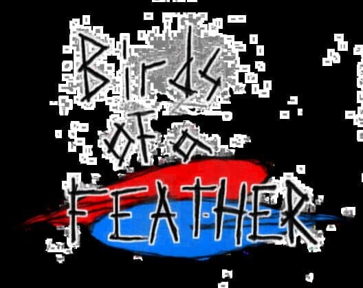 Обложка Birds of a Feather