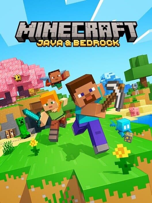 Обложка Minecraft: Java & Bedrock Edition