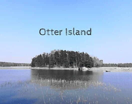 Обложка Otter Island