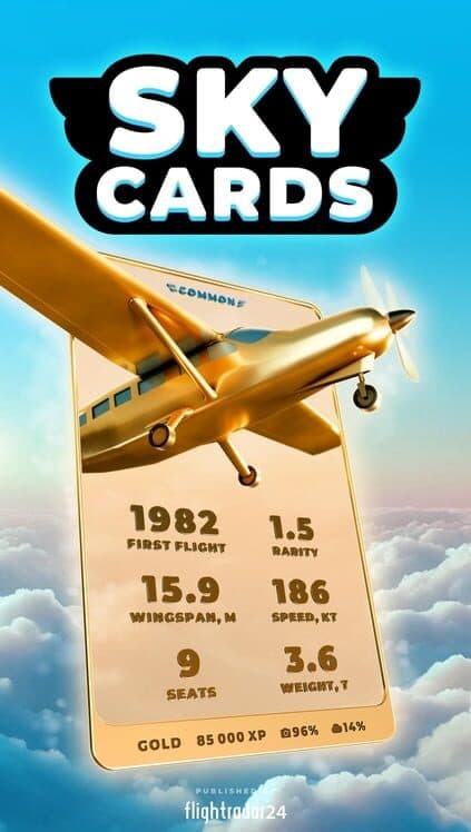 Обложка Skycards