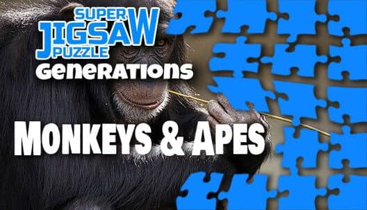 Обложка Super Jigsaw Puzzle: Generations - Monkeys & Apes Puzzles