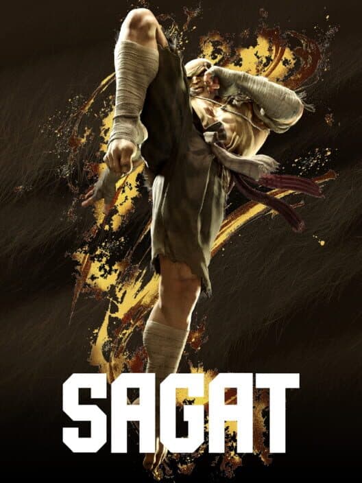 Обложка Street Fighter 6: Year 3 - Sagat