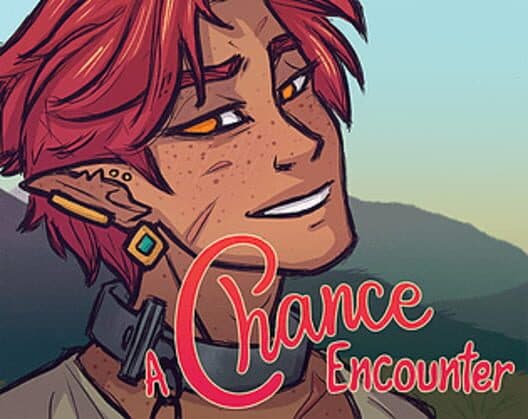 Обложка A Chance Encounter